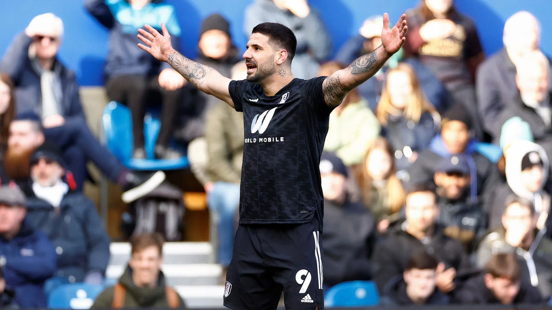 Aleksandar Mitrovic từng là chân sút chủ lực của Fulham tại Championship